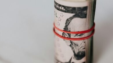 hsbc multicap investment fund