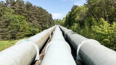 network infrastructure implications studied