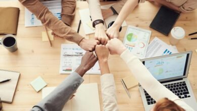 business financial model insights