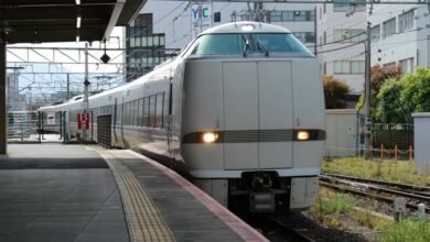 efficient online platform development